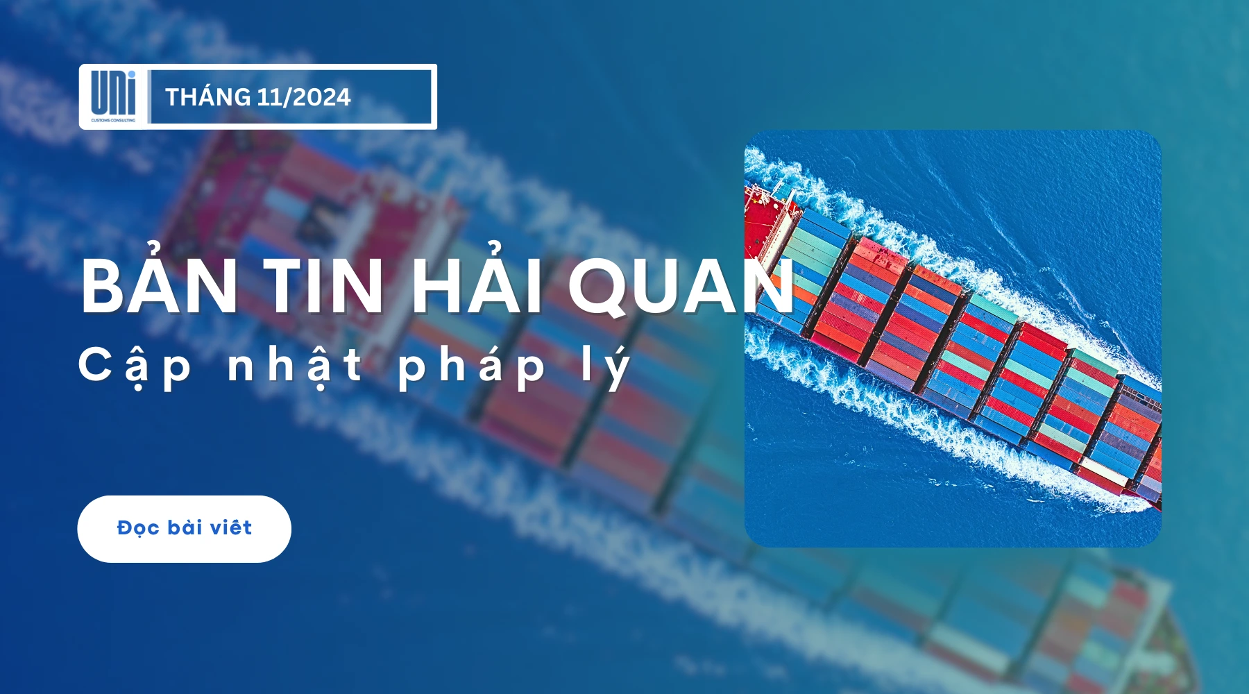 bản tin hải quan tháng 11 2025