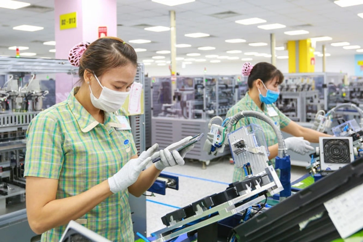 bản tin hải quan về doanh nghiệp chế xuất