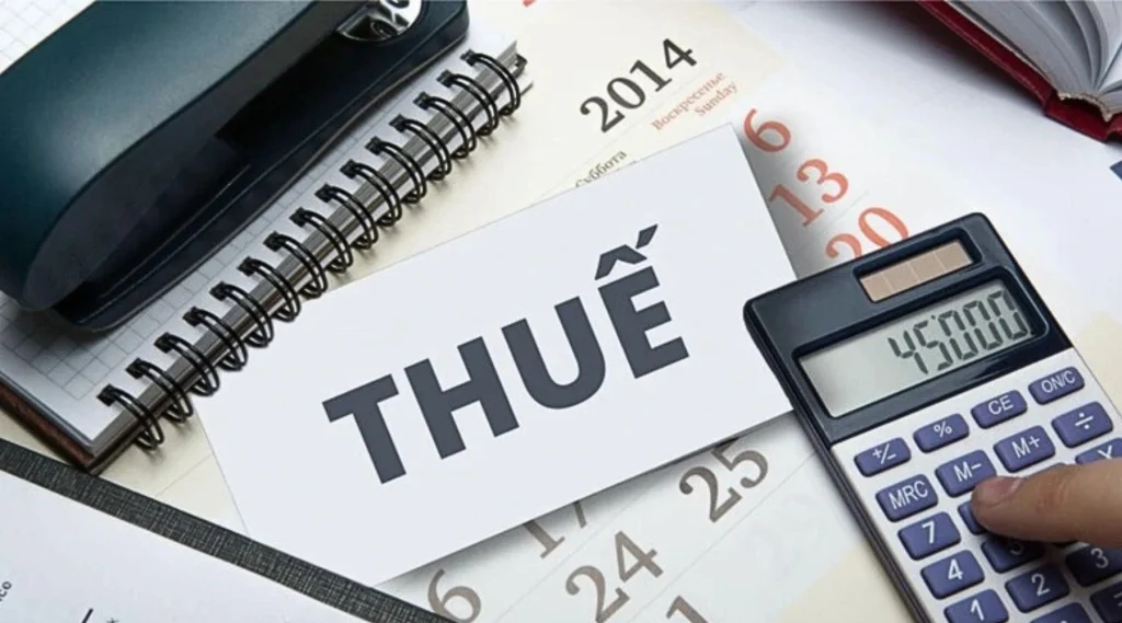 problems with the proposal for 100% import tax refund