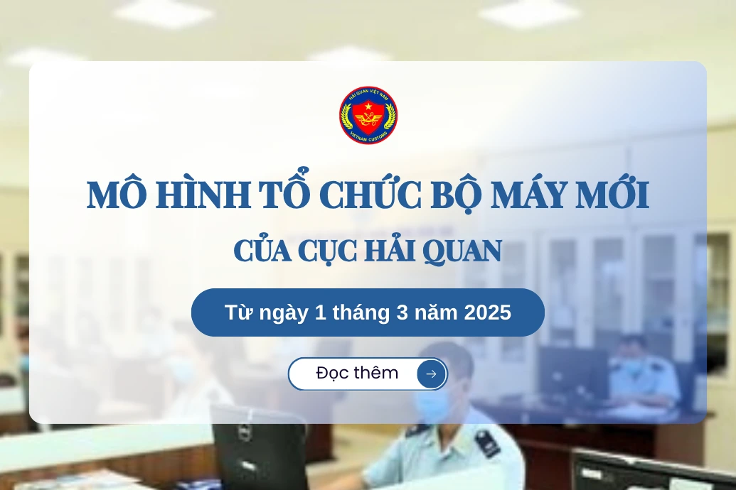 Mô Hình Tổ Chức Bộ Máy Mới Của Cục Hải Quan Từ Ngày 1 Tháng 3 Năm 2025