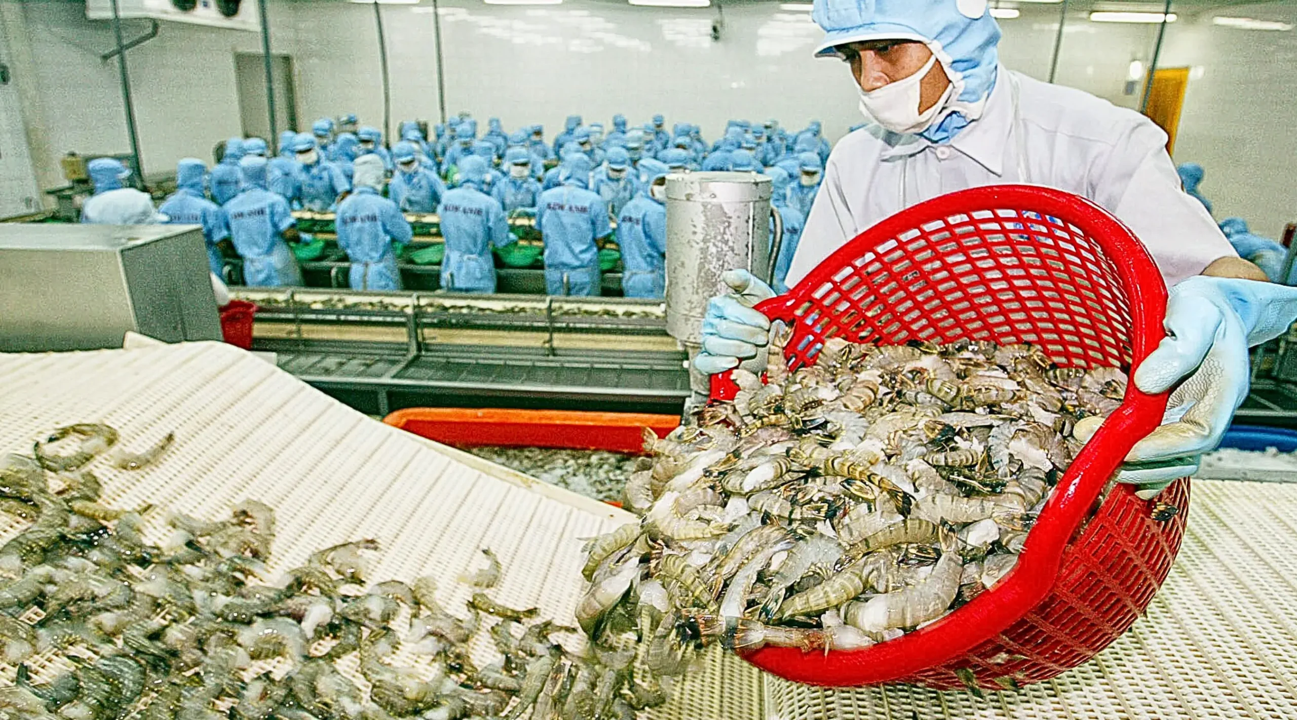 xuất khẩu thủy sản Việt Nam doanh nghiệp cần làm gì để vượt qua rào cản phi thuế quan