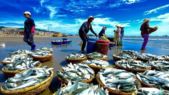 U.S. May Suspend Imports of Certain Vietnamese Seafood from Jan 2026