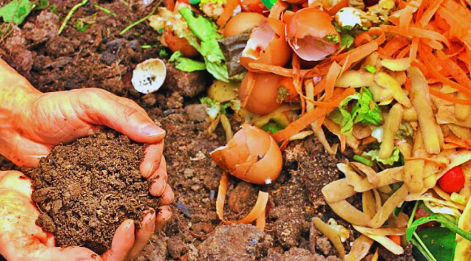 Guidance-on-Labeling-and-Quality-Inspection-for-Imported-Organic-Fertilizers