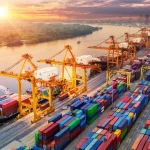 am-nhap-tai-xuat-Huong-dan-thay-doi-muc-dich-su-dung